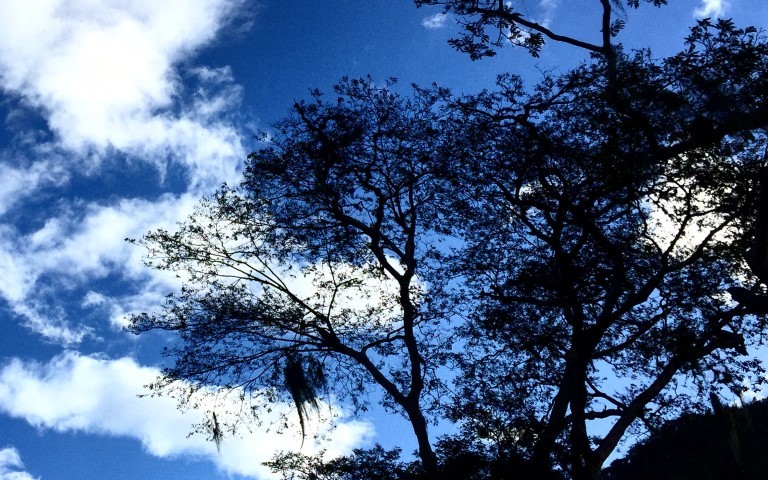 NATUREZA